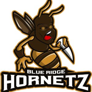 Blue Ridge Hornetz