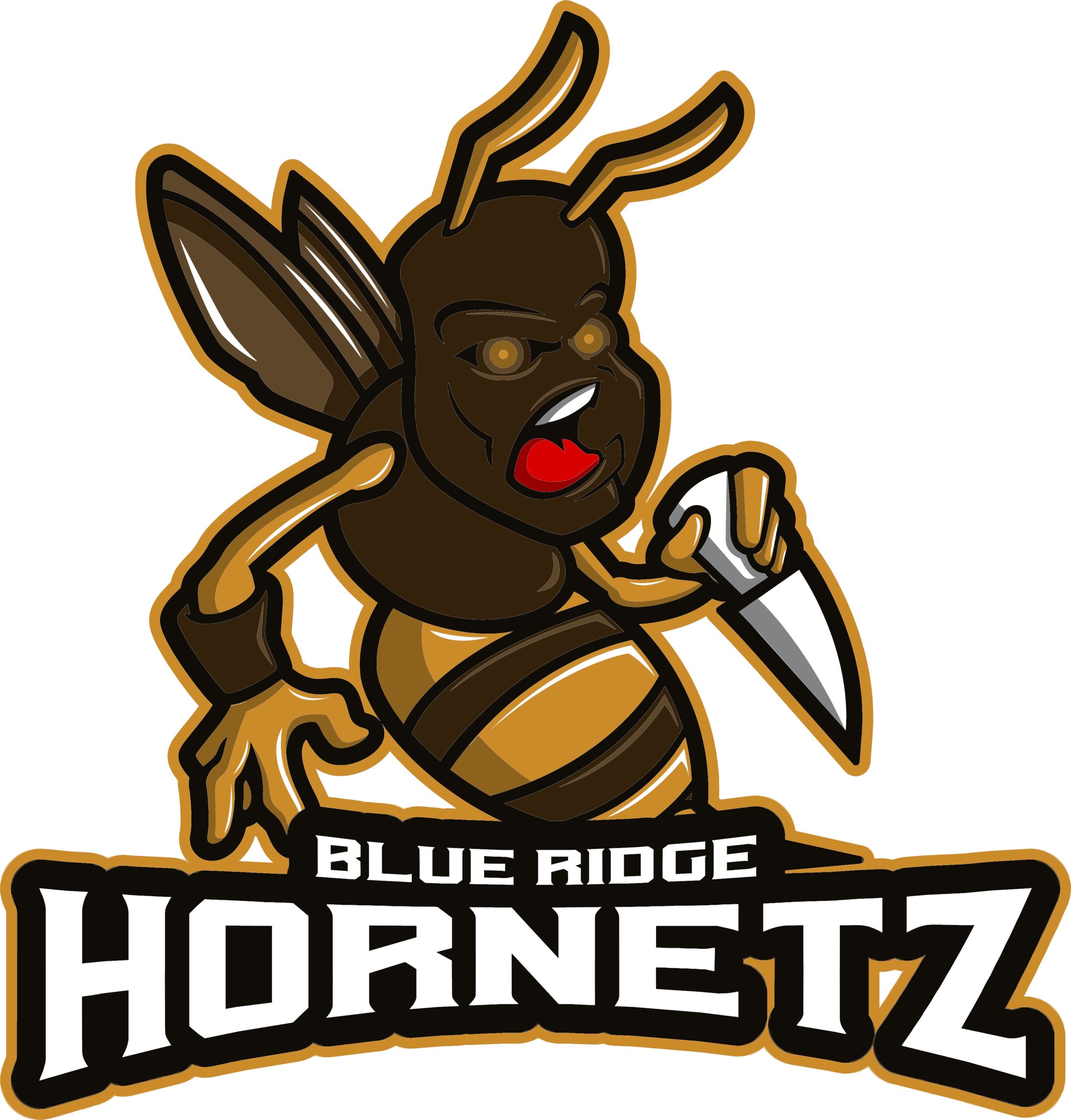 Blue Ridge Hornetz